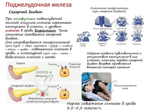 Действие гормонов на третий день