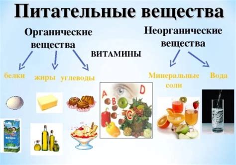 Дефицит питательных веществ в корме