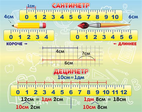 Дециметры и деление