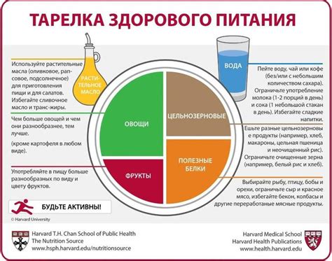 Достоинства умеренного питания