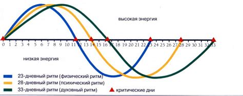 Естественный биоритм организма