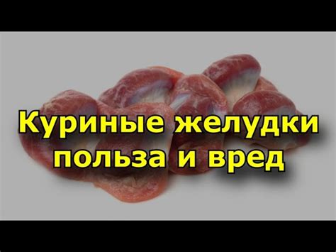 Желудки куриные: польза и вред для здоровья