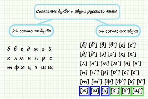 Зависимость между количеством букв и звуков