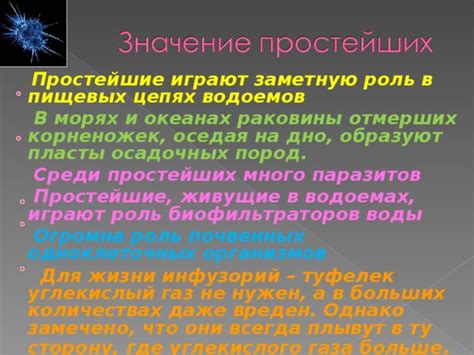 Зависимость от воды: жизненная опора простейших организмов