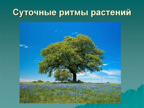 Зависимость от окружающей среды и потенциальные риски