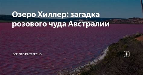 Загадка розового арбуза