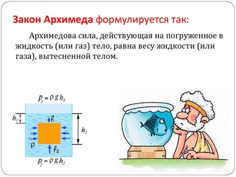 Закон Архимеда: основа плавучести