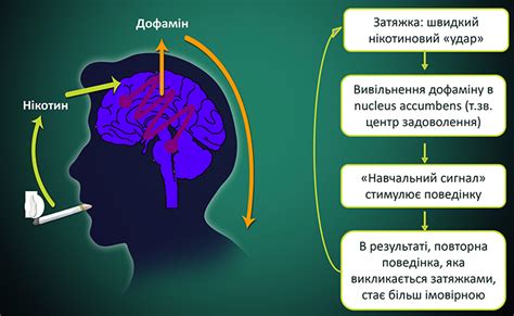 Заряжающая мощь никотиновой зависимости