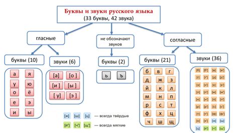 Звуки и буквы в слове "сухие": разбор слова