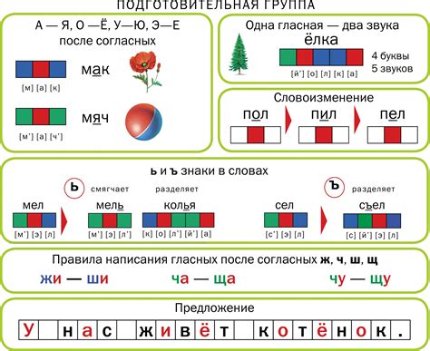 Звуковая структура слова "яркое"