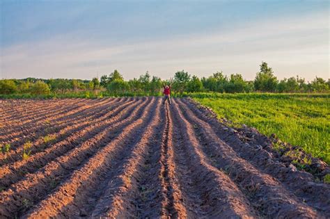 Земледелие в различных регионах мира: особенности и разнообразие подходов