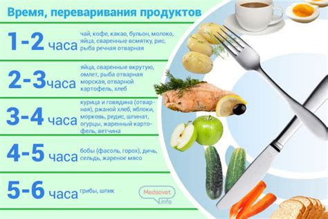 Зерновые продукты и процесс переваривания: