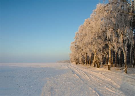 Зимний иней: уникальное явление природы