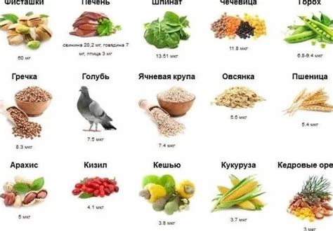 Знаете ли вы: полезные продукты для группы крови 2