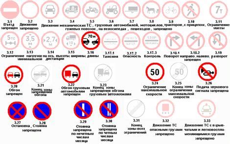 Значение правил и ограничений