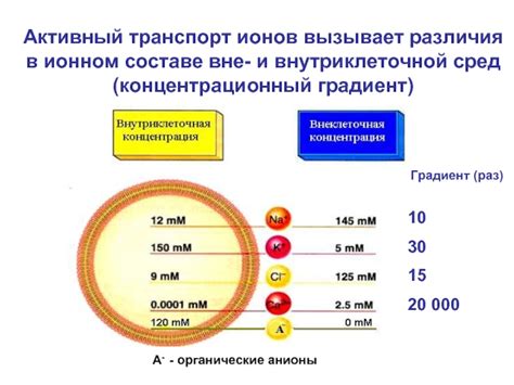 Значение различий в ионном составе для здоровья и диагностики