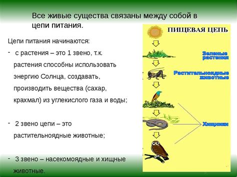 Значение симбиоза для экосистемы и человека: сохранение биоравновесия