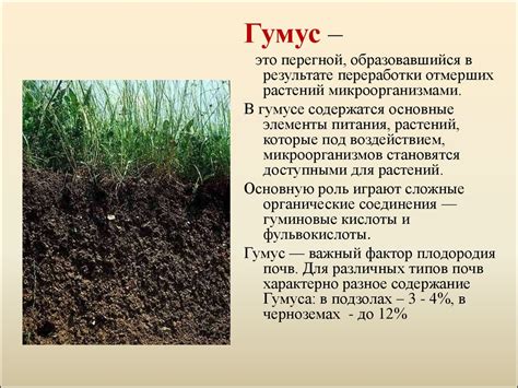 Значение сохранения почвы в окружающем мире