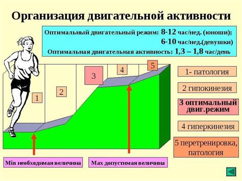 Значение степени активности плода для его здоровья