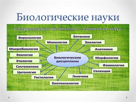 Значение экологии в биологии