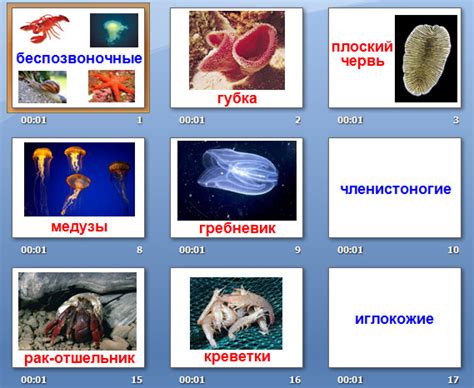 Значимость изучения беспозвоночных