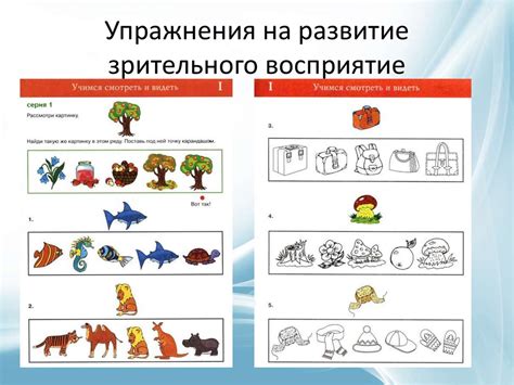 Зрительное восприятие форм и цветов у лисы и кошки