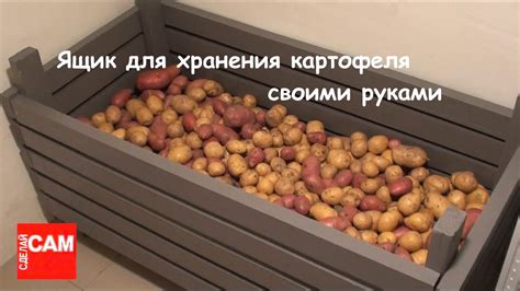 Идеальные условия хранения картошки с тушенкой в холодильнике