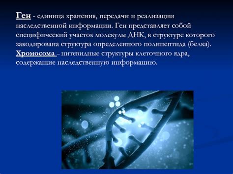 Идентичность способов хранения, передачи и реализации наследственной информации