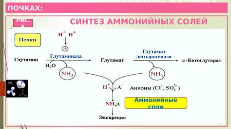 Избыток аммиака и нитритов