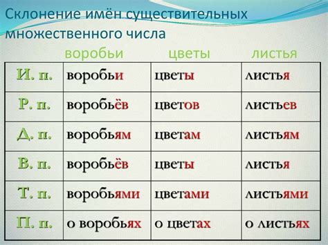 Изменение количества фонем и букв в различных падежах