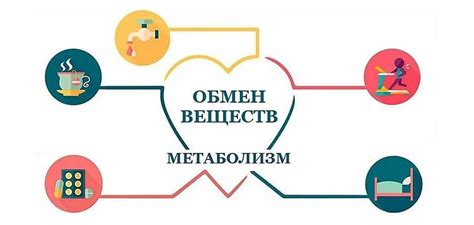 Изменение обмена веществ