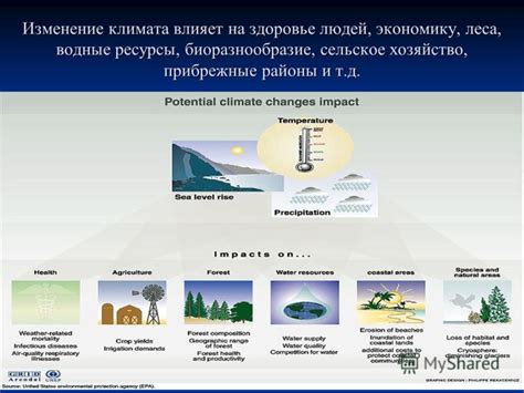 Изменение политического климата: что ждет следующего лидера?