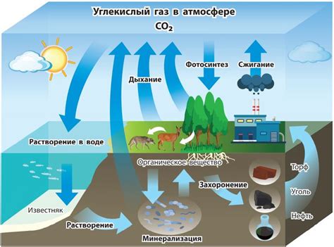 Изменение распространения паразитов в результате парникового эффекта