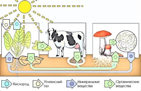 Изменения в экосистеме