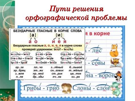 Изучаем правило написания слова "лестница"