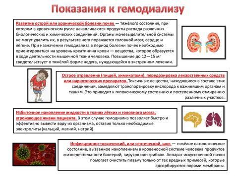 Индивидуальный подход к определению частоты проведения гемодиализа