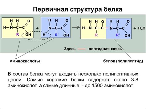 Интеракции между аминокислотами и структурой