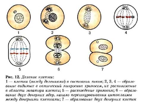 Интересные факты о делении на 0