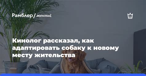 Интерес к новому месту