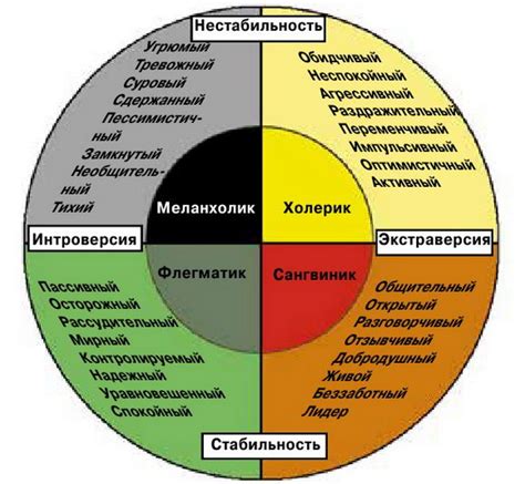 Интроверты и экстраверты - основные темы психологии