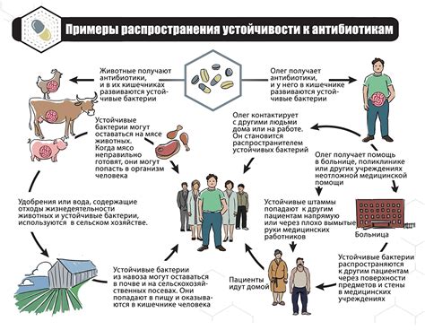 Использование запаха грозы в сельском хозяйстве и медицине