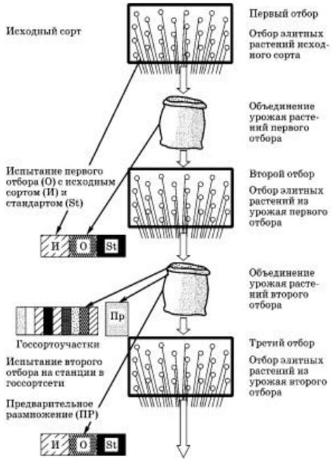 Использование массового отбора