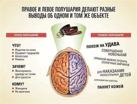 Исследования мозга и научное объяснение сновидений