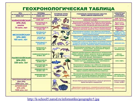 Исторические события и этапы эволюции мхов