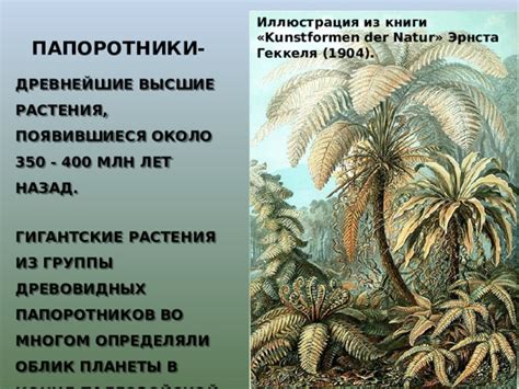 Исторические факторы, приведшие к исчезновению древовидных папоротников