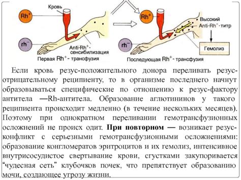 Какая методика используется при повторном переливании резус положительной крови резус отрицательному?