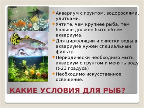 Какие вещества и параметры воды необходимы для аквариума с улитками?