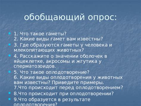 Какие гаметы образуются у родителя 1?