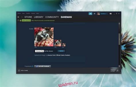 Какие данные можно изменить в профиле Steam?