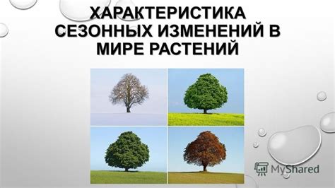 Какие изменения происходят с февралем в високосном году?